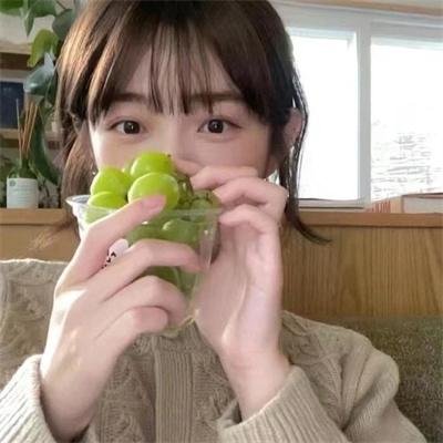 金龟子